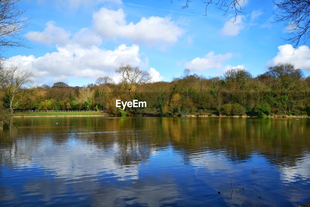 SCENIC VIEW OF LAKE AGAINST TREES