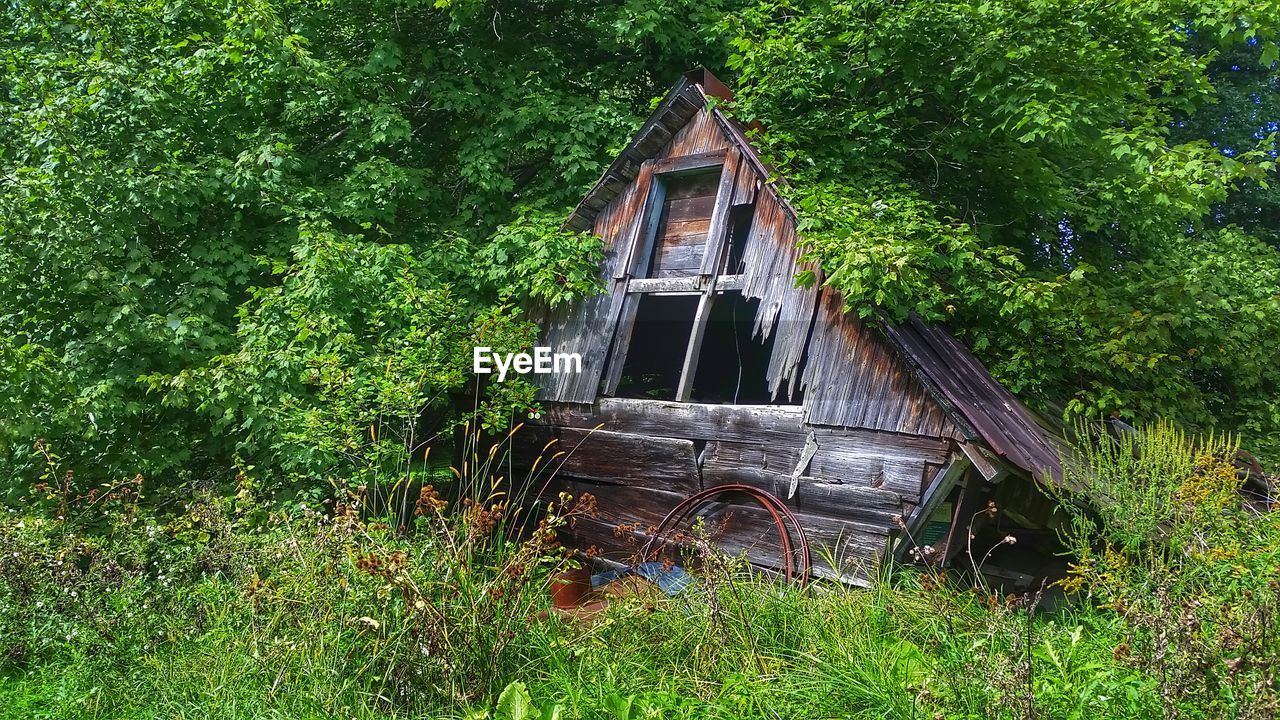 Damaged house in forest