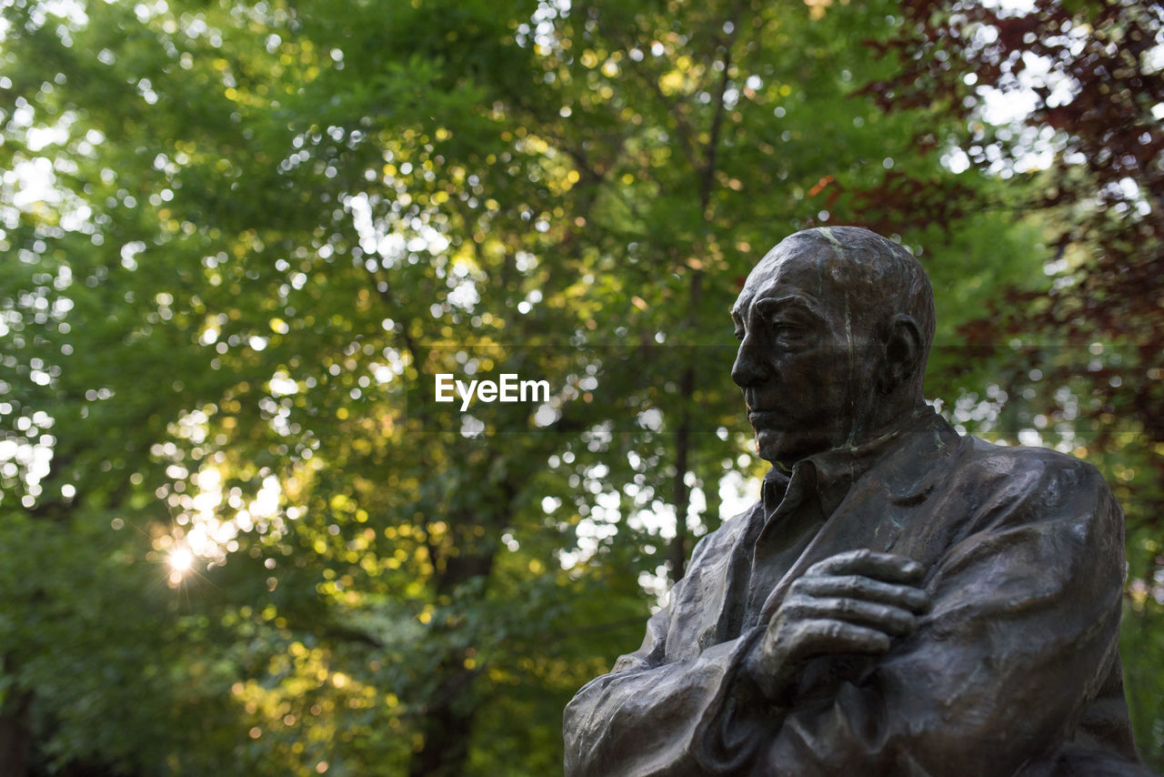 LOW ANGLE VIEW OF STATUE AND TREES