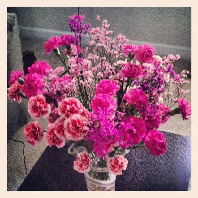 CLOSE-UP OF PINK FLOWERS