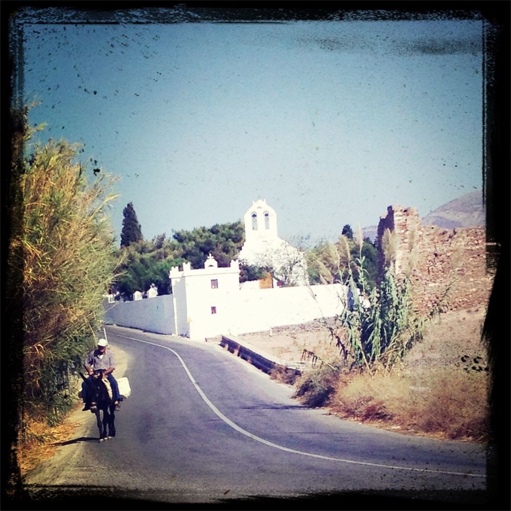 Man riding on donkey along country road