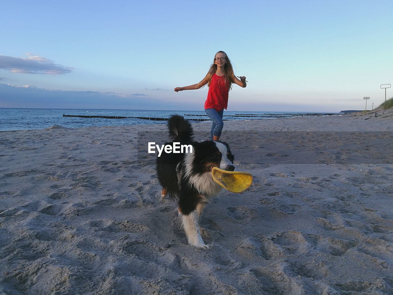 Girl with dog on beach against sky