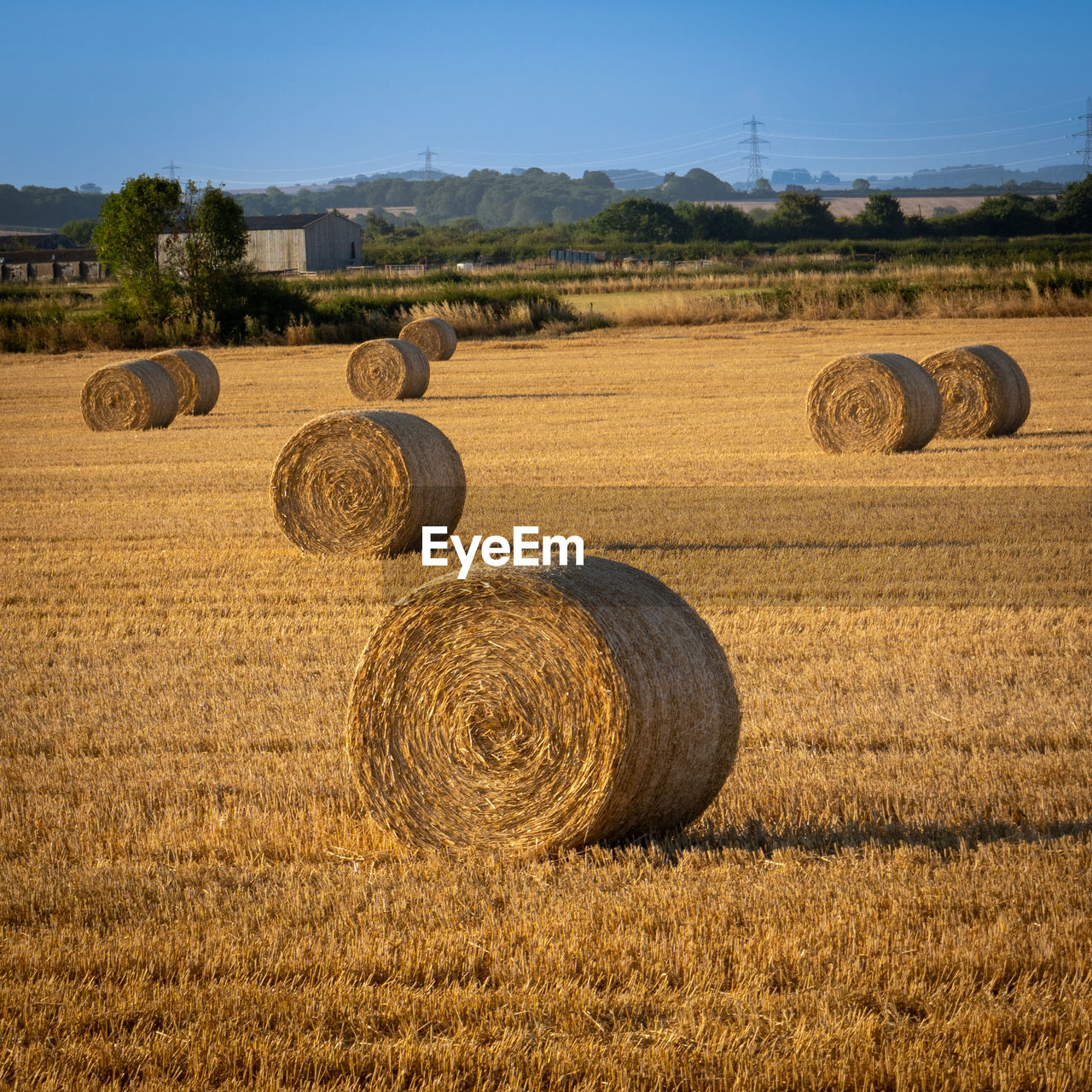 bale, hay, agriculture, landscape, field, rural scene, farm, land, plant, harvesting, environment, sky, crop, straw, nature, rolled up, circle, cereal plant, geometric shape, scenics - nature, soil, shape, tranquility, tranquil scene, beauty in nature, no people, haystack, sunlight, summer, rural area, gold, outdoors, harvest, day, grass, tree, idyllic, corn, food, food and drink