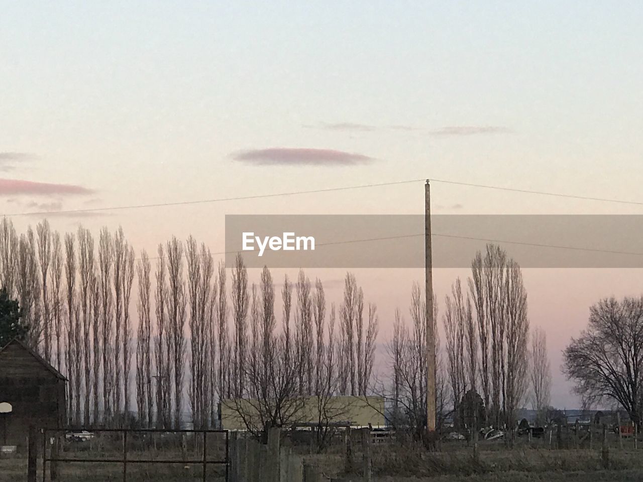 SCENIC VIEW OF LANDSCAPE AGAINST CLEAR SKY