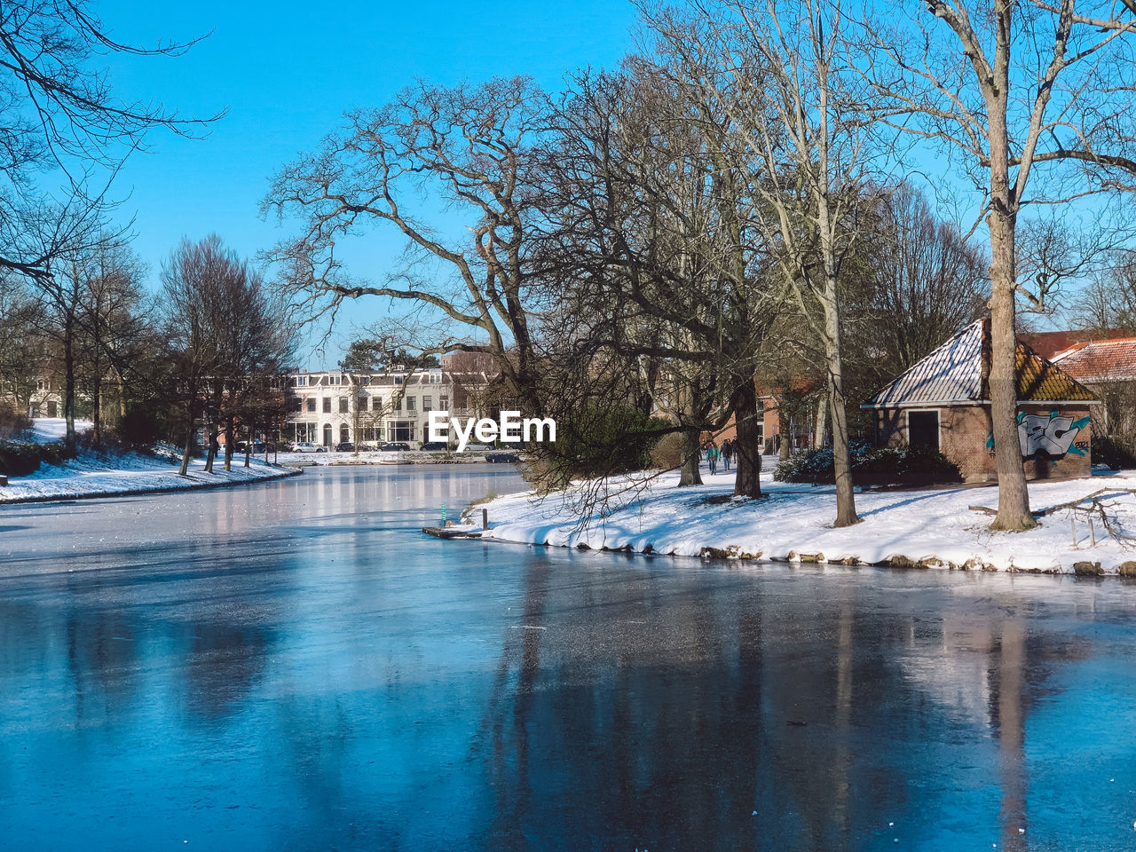 BARE TREES BY SWIMMING POOL IN RIVER