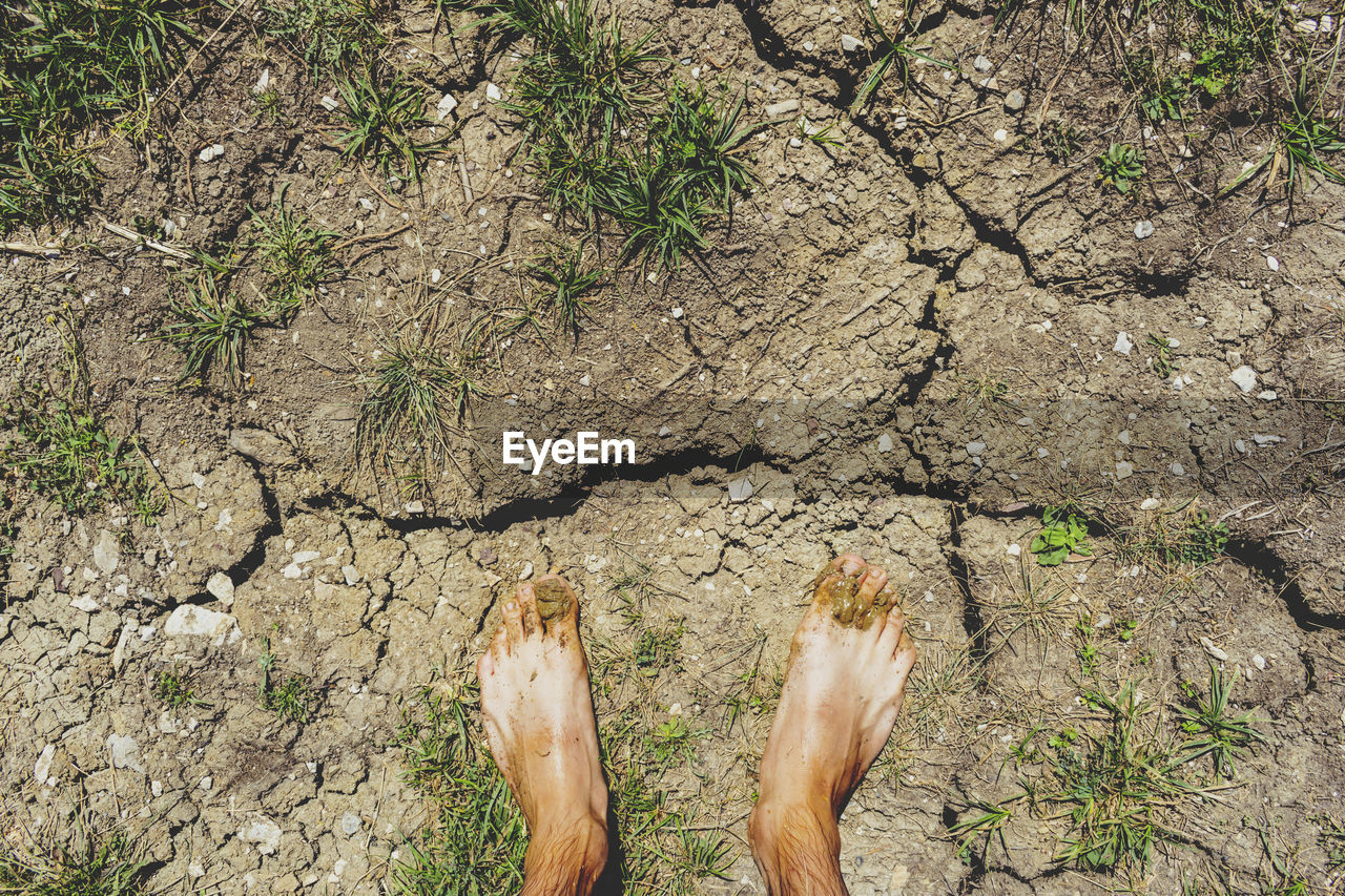 High angle view of muddy legs on ground