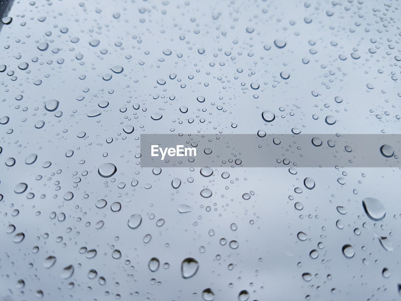 Close-up of water drops on leaf