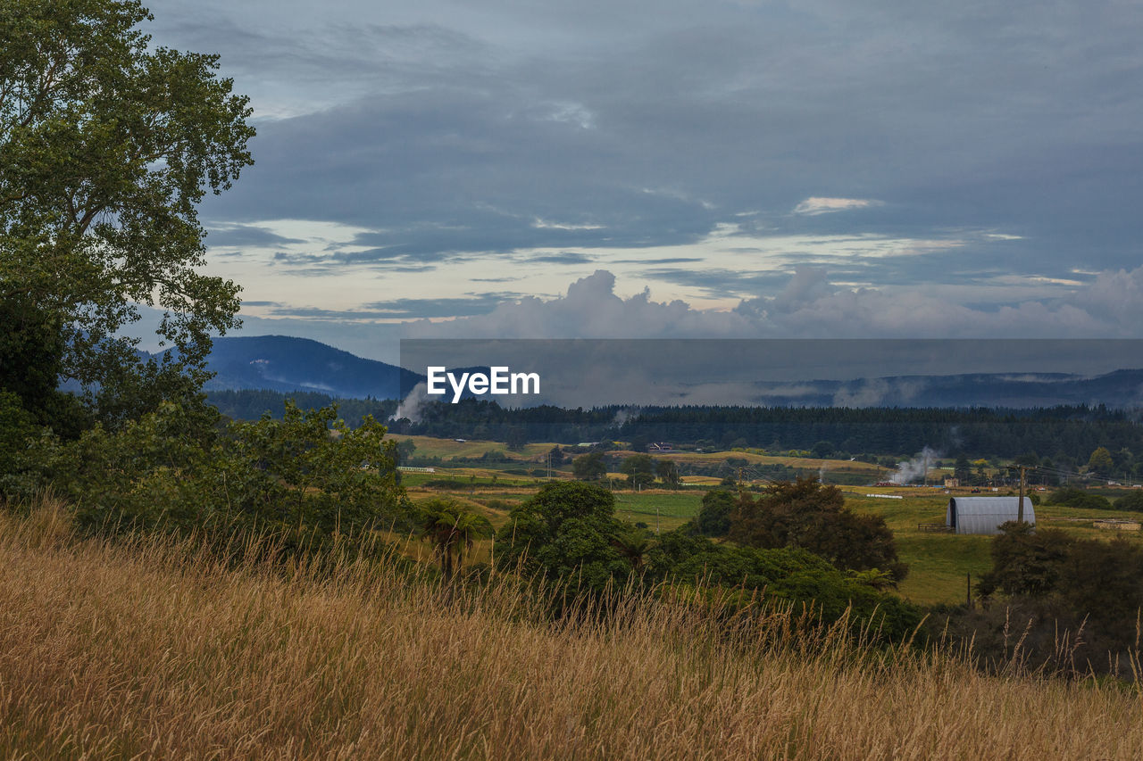 Scenic view of field against sky