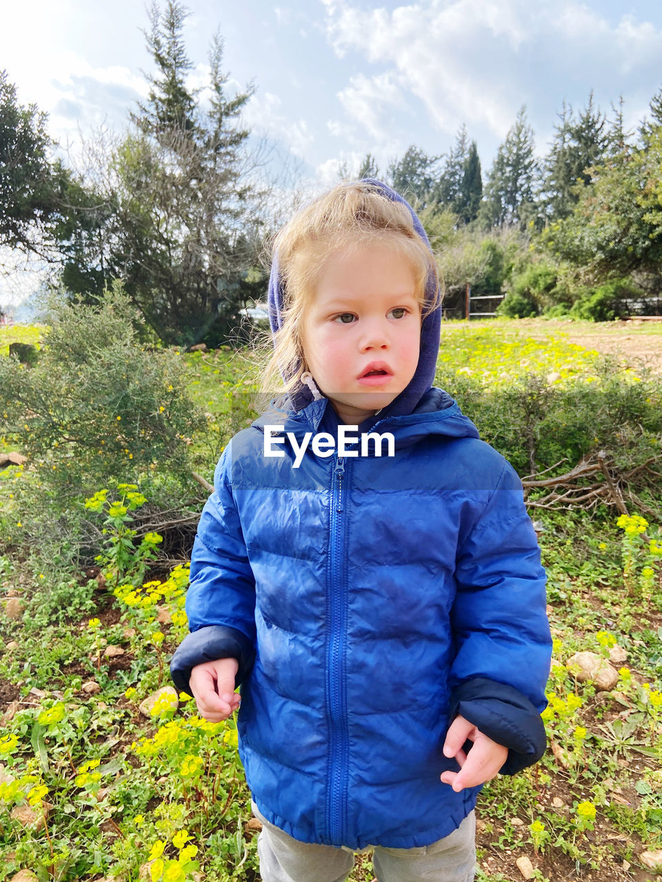 child, childhood, one person, plant, nature, standing, front view, toddler, jacket, day, innocence, three quarter length, tree, casual clothing, portrait, men, clothing, leisure activity, cute, looking at camera, autumn, land, spring, person, outdoors, flower, blond hair, looking, lifestyles, grass, growth, sky, field, blue, jeans, baby, green, human face, emotion