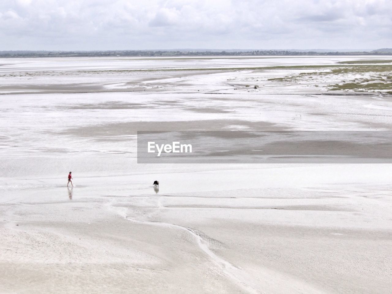 Person and dog in salt flats