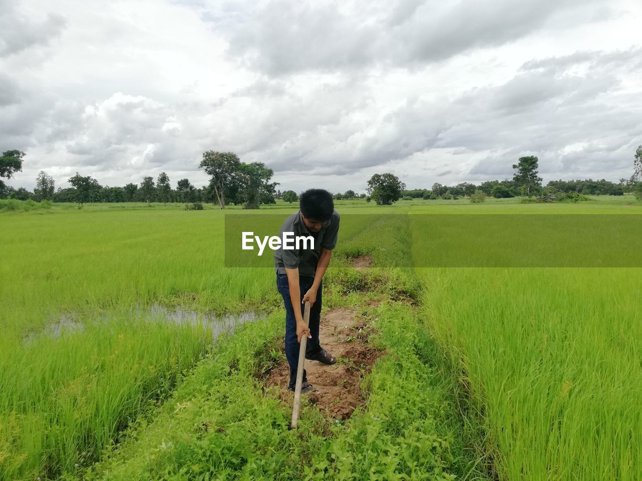 Man working on agricultural field