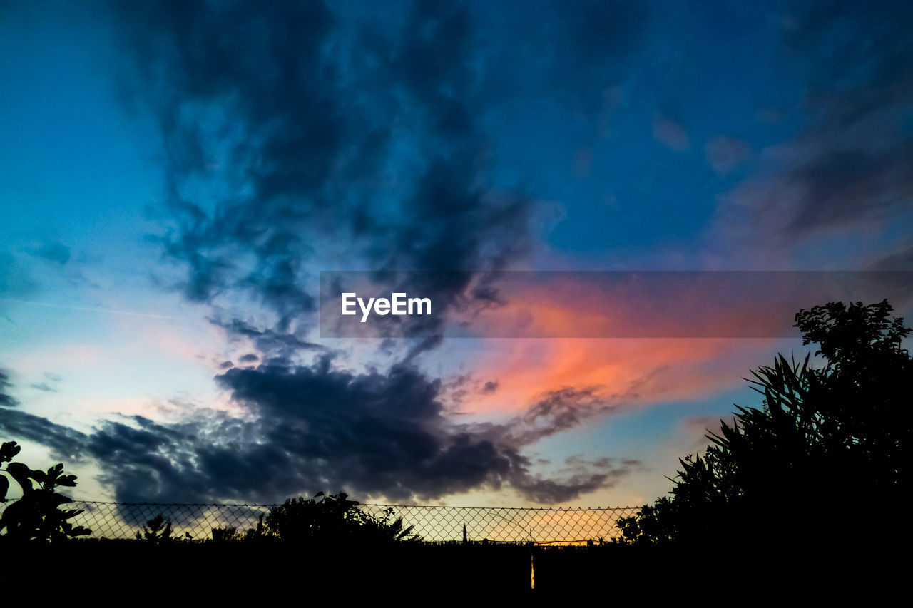 LOW ANGLE VIEW OF SILHOUETTE TREES AGAINST ORANGE SKY