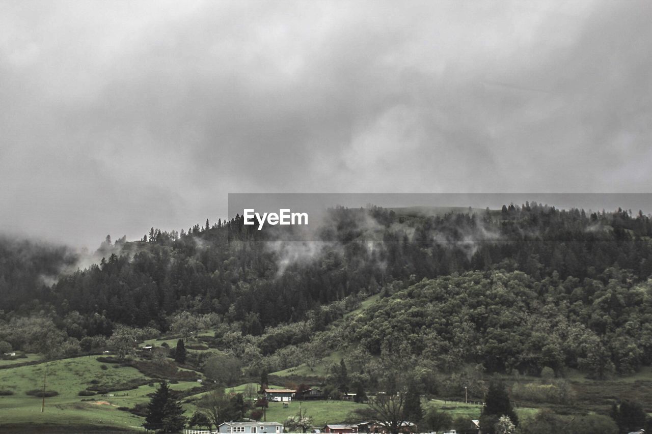 Scenic view of green mountain against cloudy sky