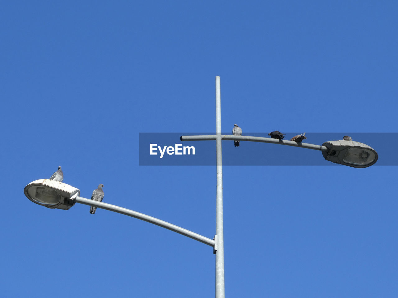 LOW ANGLE VIEW OF STREET LIGHT AGAINST CLEAR SKY