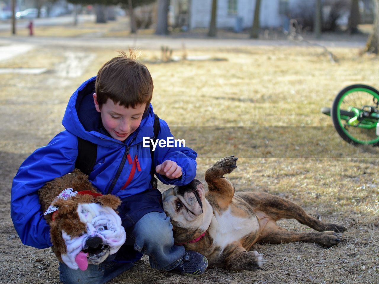 Happy boy holding dog mask playing with english bulldog at park