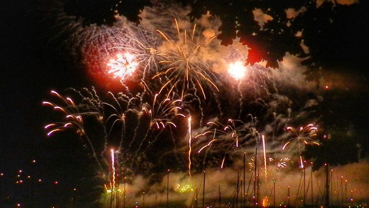 LOW ANGLE VIEW OF FIREWORKS AGAINST SKY AT NIGHT