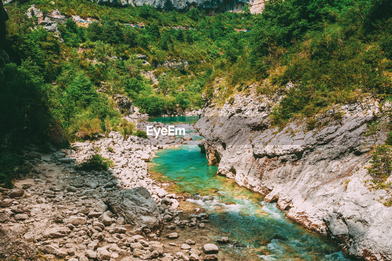 water, beauty in nature, river, plant, tree, nature, scenics - nature, land, tranquility, day, rock, tranquil scene, no people, non-urban scene, valley, wilderness, body of water, stream, environment, green, forest, growth, mountain, high angle view, outdoors, wadi, landscape, idyllic, cliff, remote, canyon