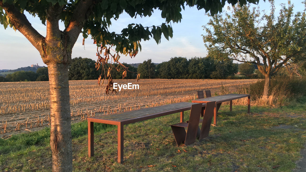 Empty chairs and tables by agricultural field