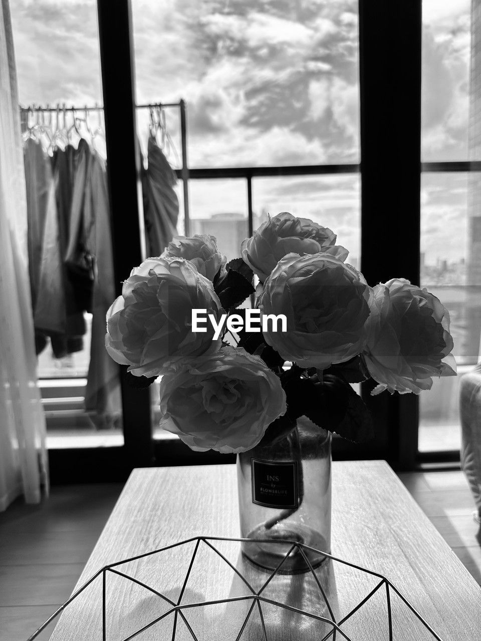 white, black, black and white, monochrome, monochrome photography, indoors, window, flower, table, nature, glass, day, no people