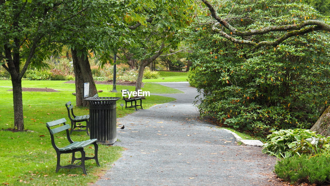 plant, tree, seat, green, nature, growth, bench, garden, park, empty, footpath, beauty in nature, no people, tranquility, day, park - man made space, grass, park bench, yard, absence, outdoors, lawn, the way forward, furniture, tranquil scene, flower, chair, backyard, woodland, sunlight, estate, scenics - nature, front or back yard, landscape, formal garden