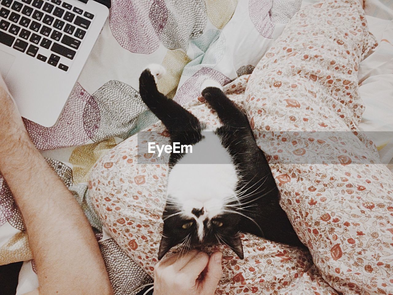 Directly above shot of man and woman with cat by laptop on bed