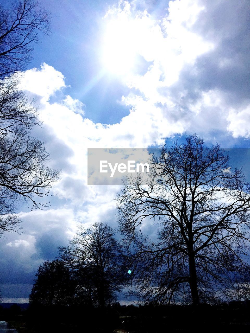 LOW ANGLE VIEW OF TREES AGAINST CLOUDY SKY