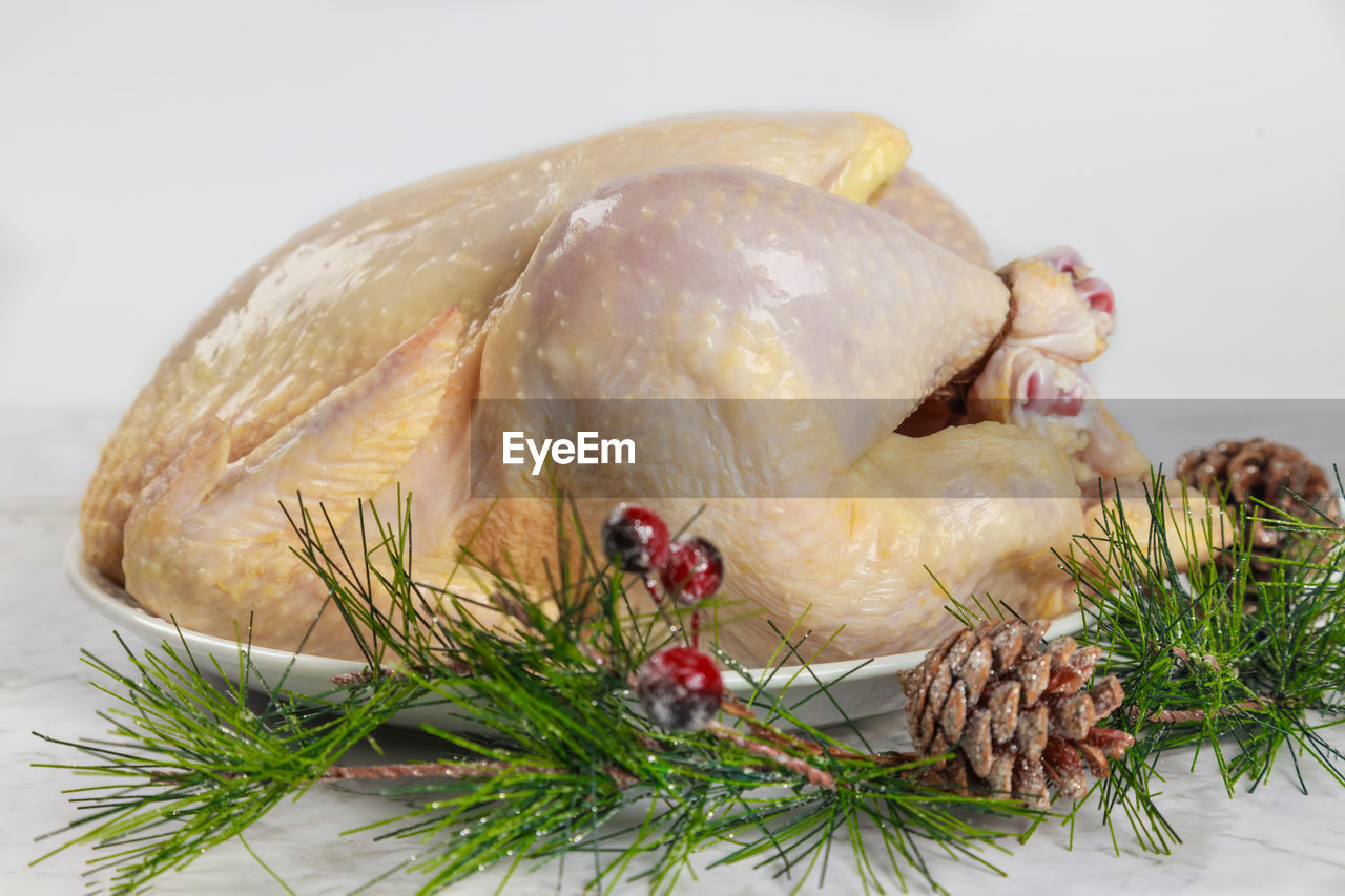 turkey meat, bird, food and drink, food, holiday, plant, turkey, christmas, celebration, rosemary, animal, winter, roast goose, healthy eating, nature, no people, meat, herb, studio shot, indoors, freshness, roasted, wellbeing, dish, vegetable, tree, animal themes, still life, white meat, full length, chicken