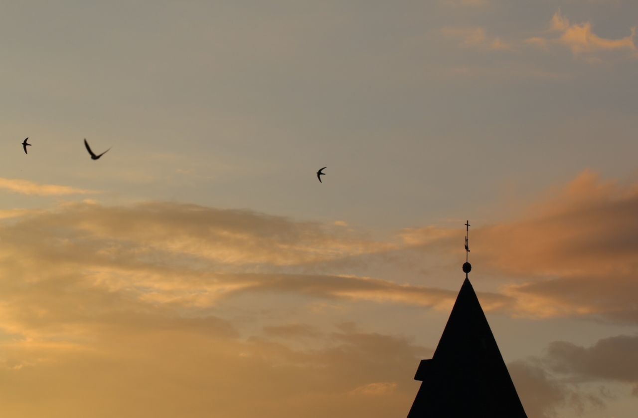 Low angle view of silhouette birds flying over church against sky during sunset