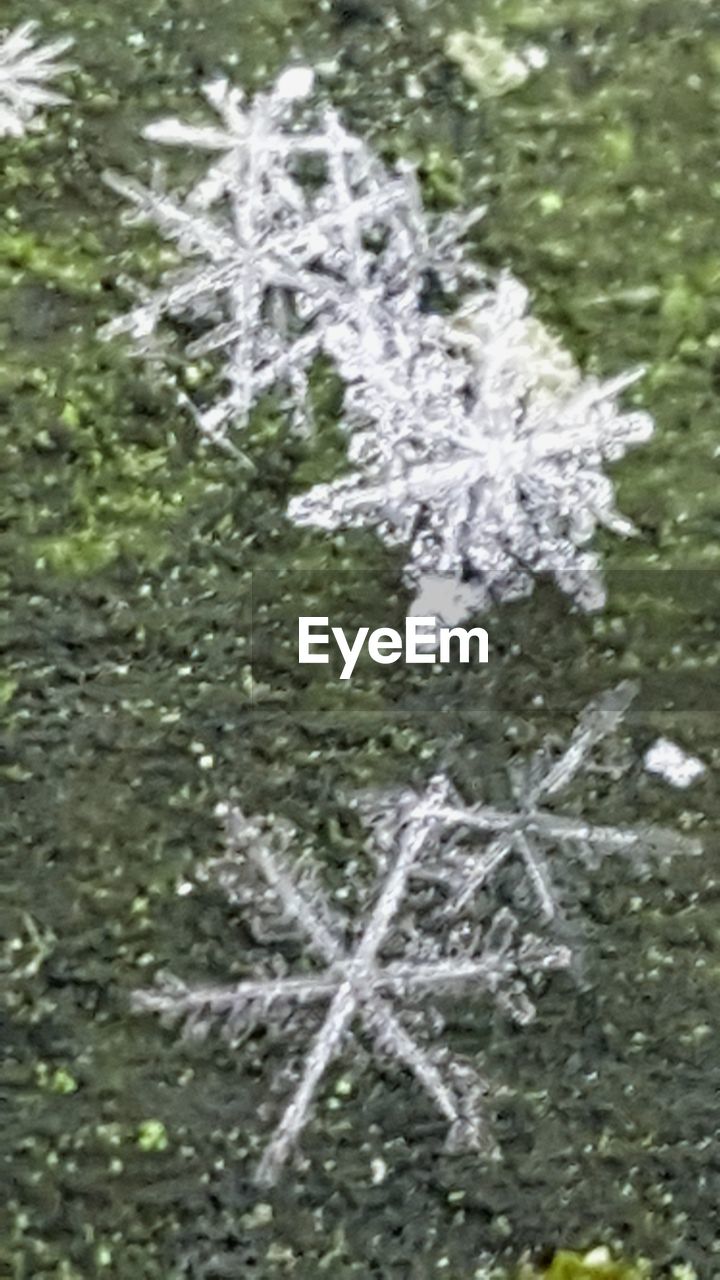 FULL FRAME SHOT OF SNOWFLAKES ON WATER