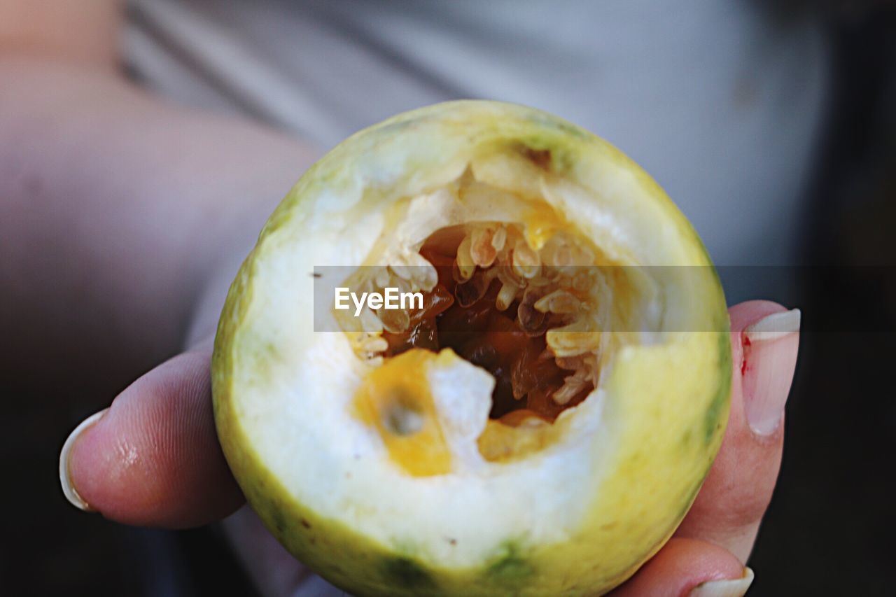 Close-up of woman holding passion fruit