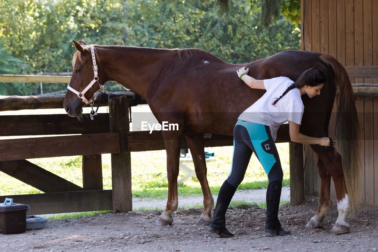 Woman looking at horse in ranch