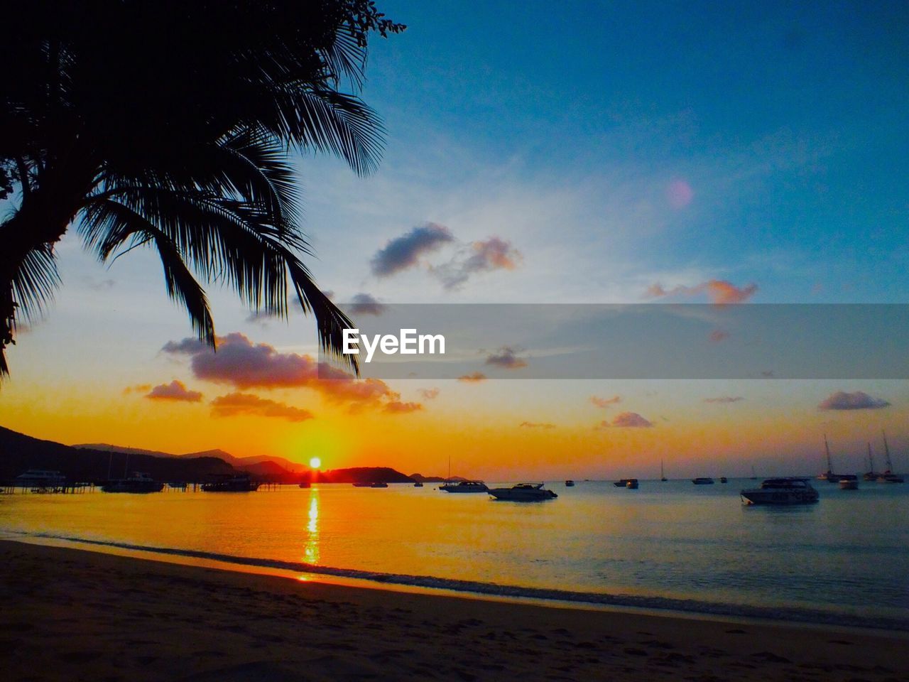 SILHOUETTE PALM TREE BY SEA AGAINST SKY DURING SUNSET