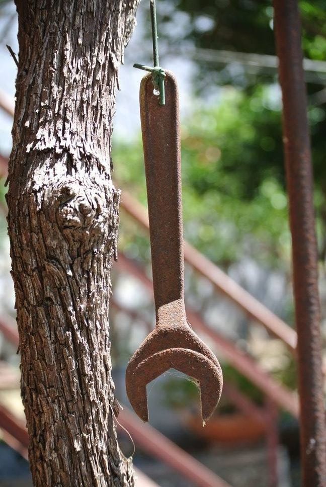 Rusty wrench hanging from tree in yard