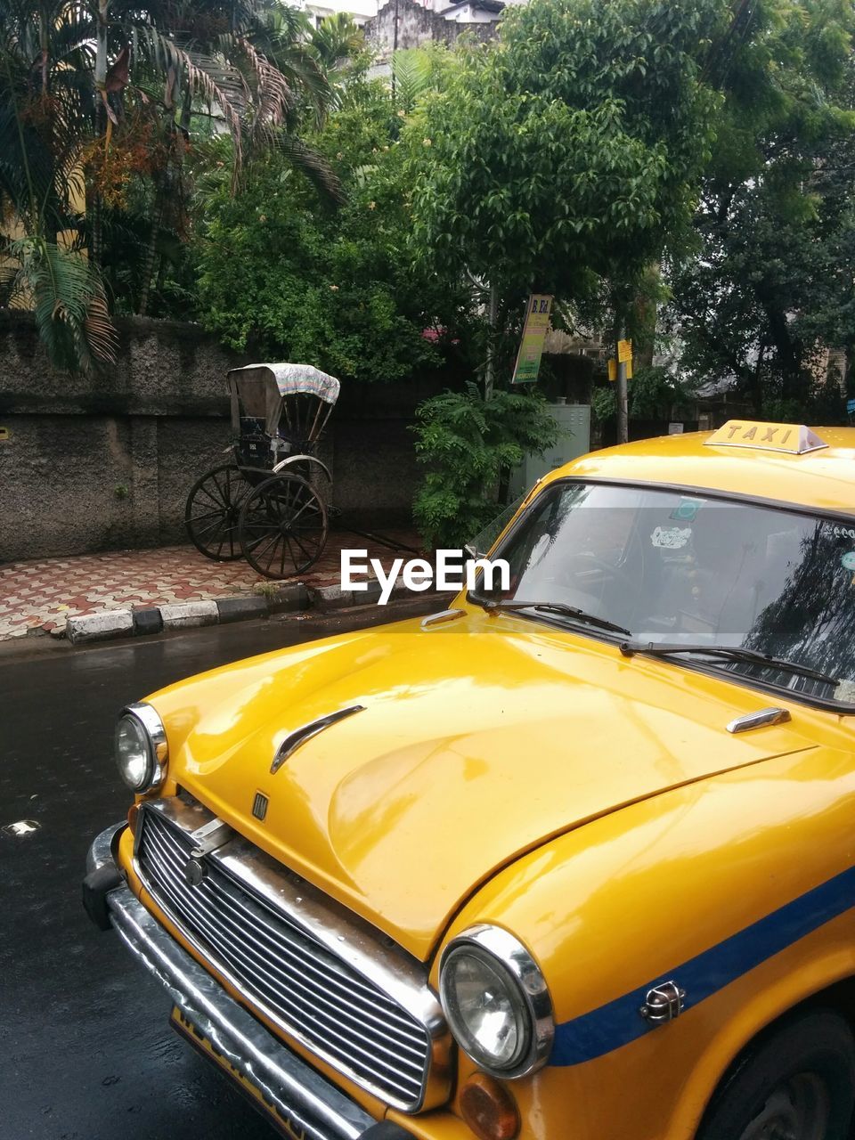 YELLOW CAR ON WINDSHIELD