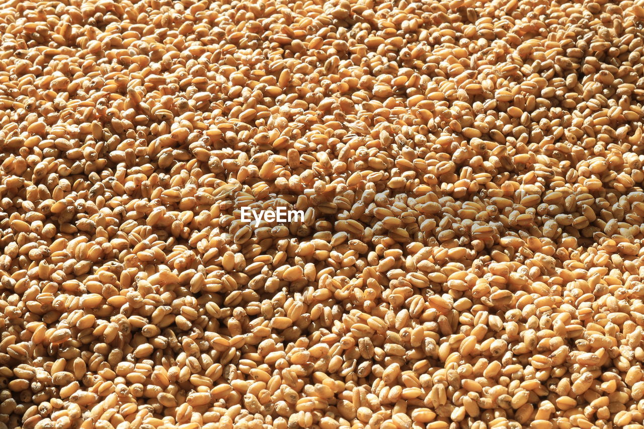 FULL FRAME SHOT OF BREAD