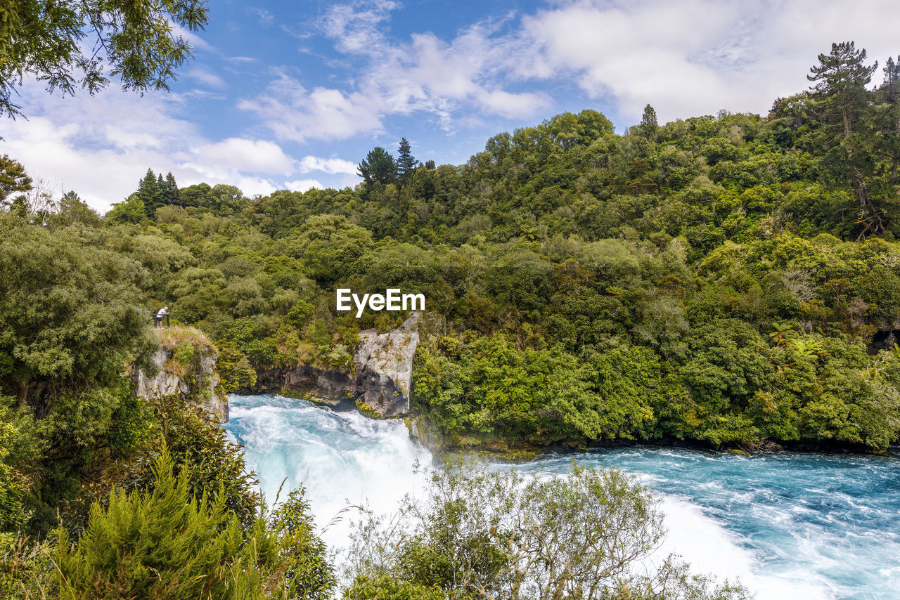 Waterfall amidst trees in forest