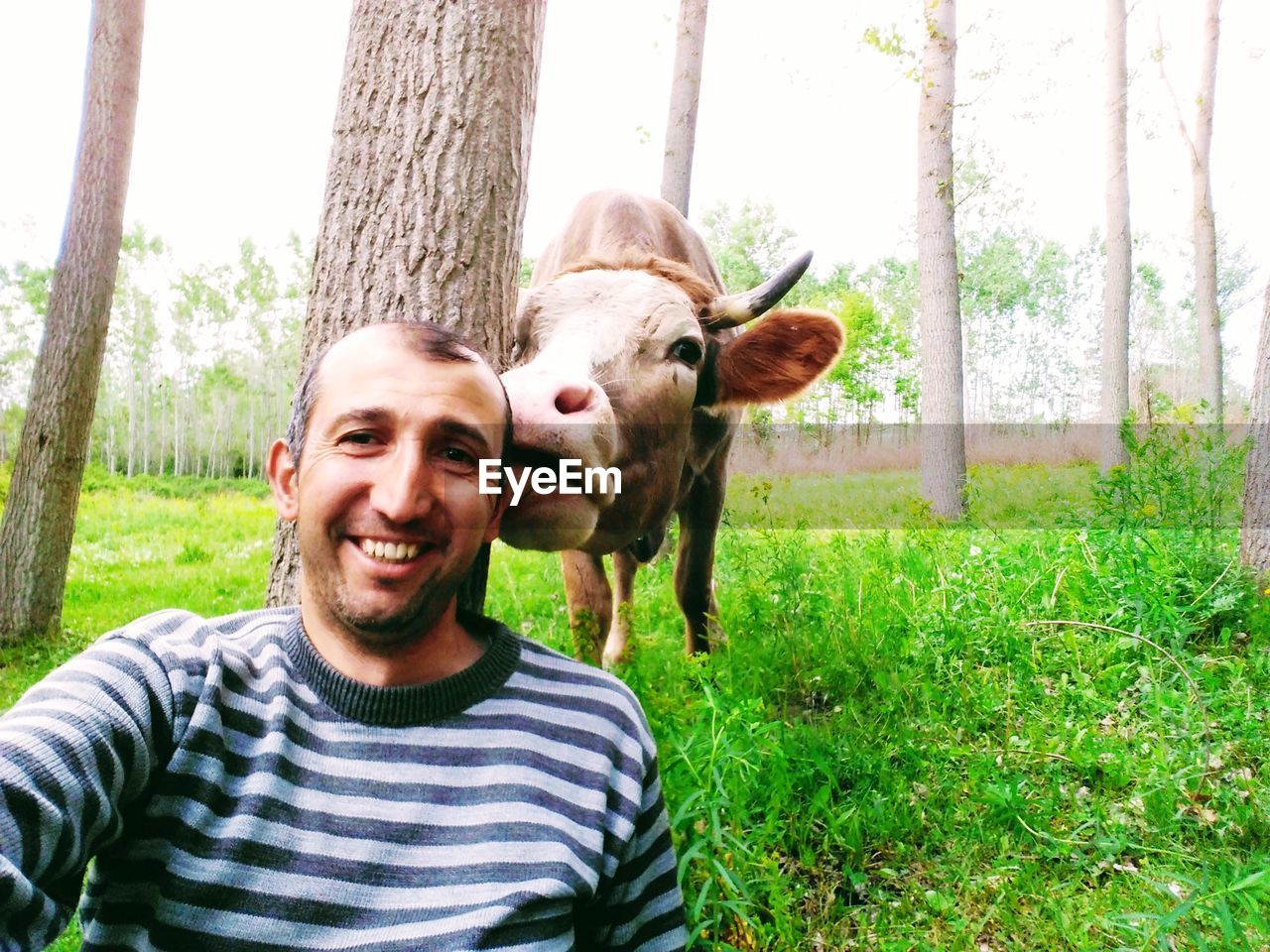 Portrait of smiling man with cow standing by tree trunk