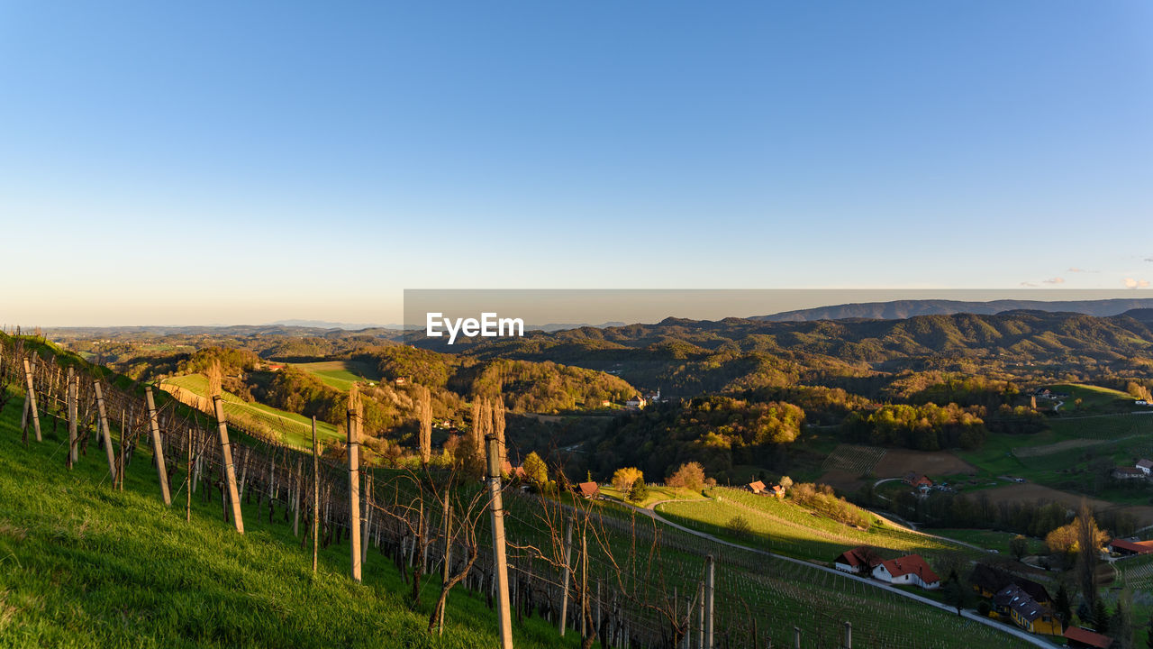 PANORAMIC SHOT OF LANDSCAPE AGAINST CLEAR SKY