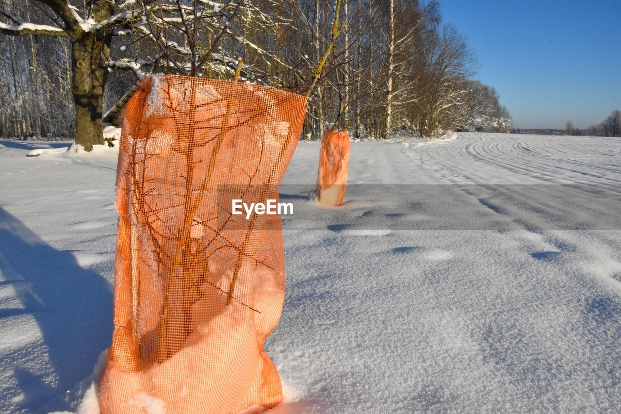 winter, snow, cold temperature, nature, tree, day, one person, freezing, frozen, plant, sunlight, environment, land, orange color, ice, outdoors, landscape, bare tree, sky, clothing, covering, leisure activity, scenics - nature
