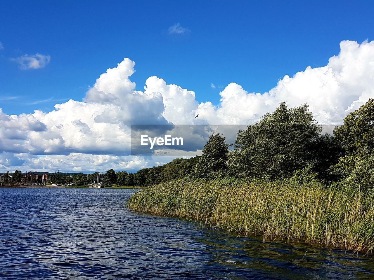 Scenic view of river against sky