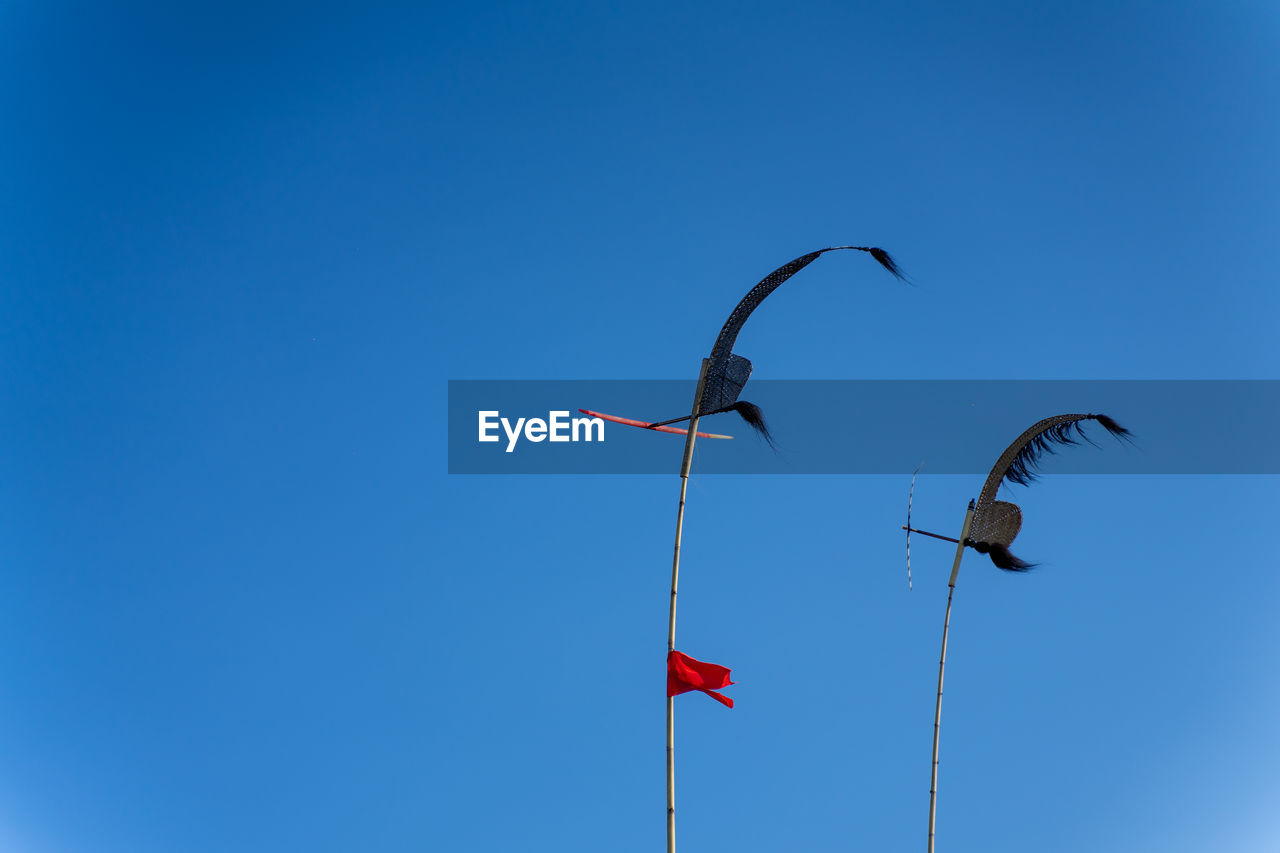 LOW ANGLE VIEW OF BIRDS FLYING IN SKY