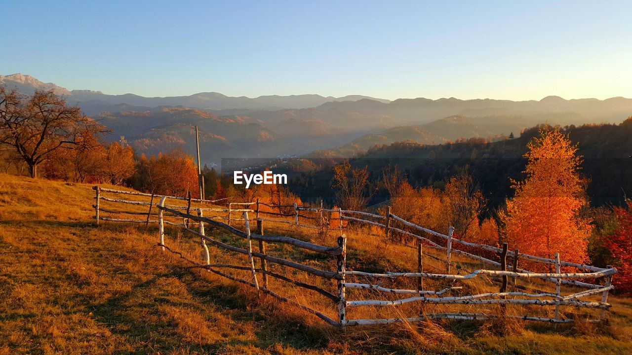 Trees on mountains during autumn