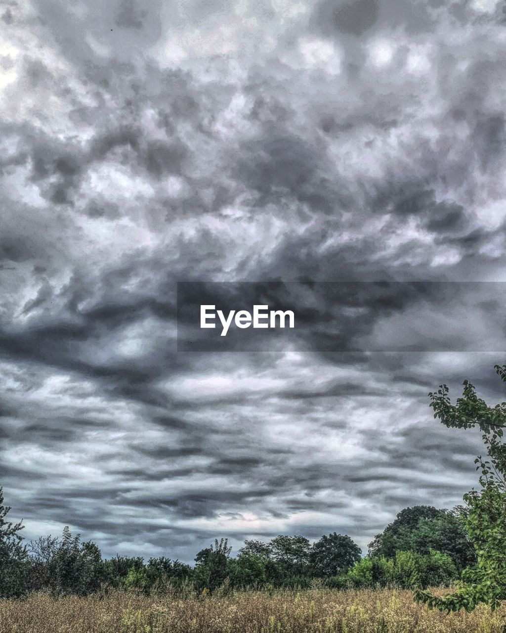 cloud, sky, plant, nature, environment, tree, beauty in nature, storm, landscape, scenics - nature, dramatic sky, no people, storm cloud, land, field, cloudscape, grass, overcast, growth, grassland, tranquility, outdoors, day, thunderstorm, horizon, prairie, plain, tranquil scene, non-urban scene