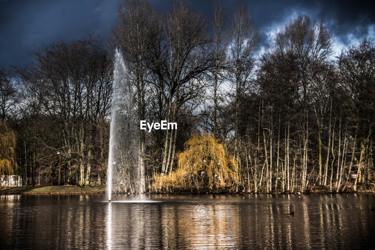 BARE TREES BY WATER