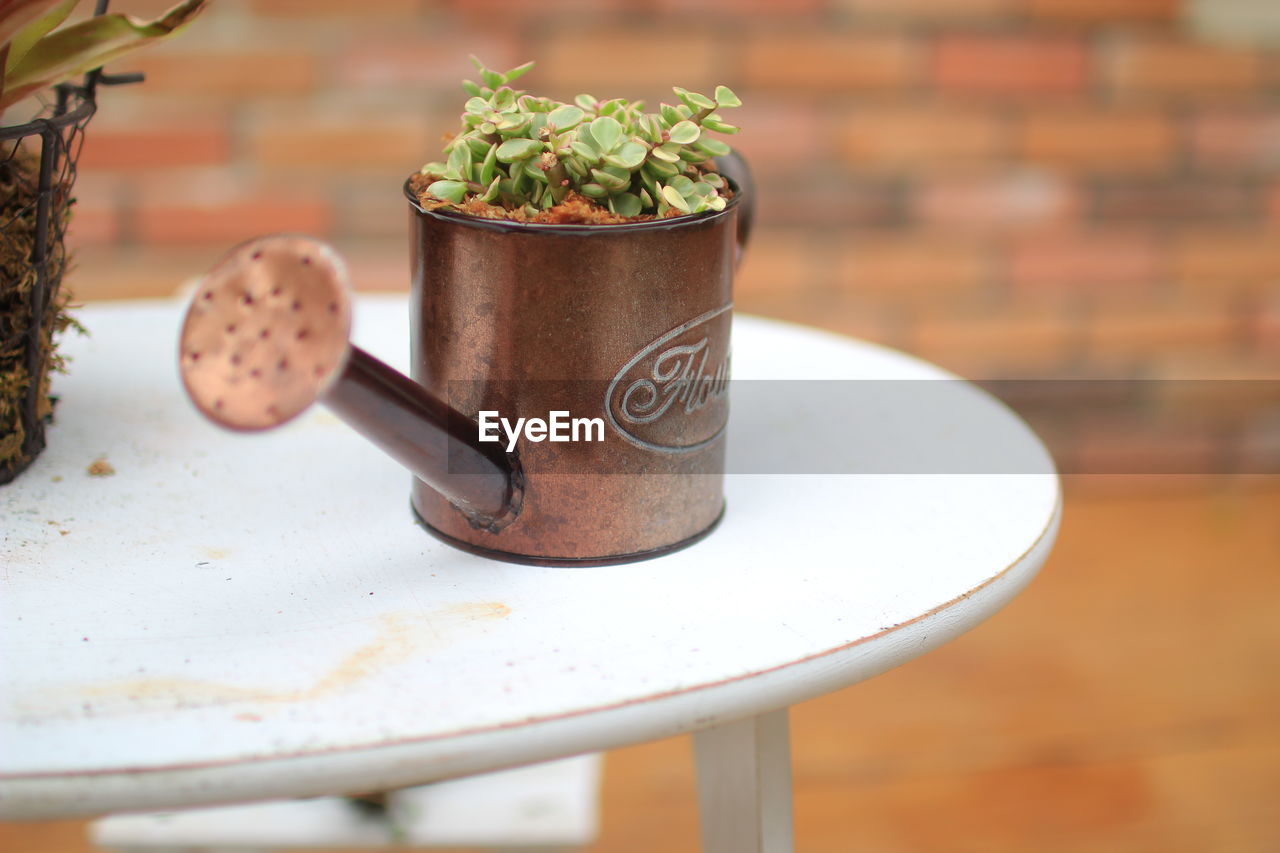 Close-up of small watering can on table