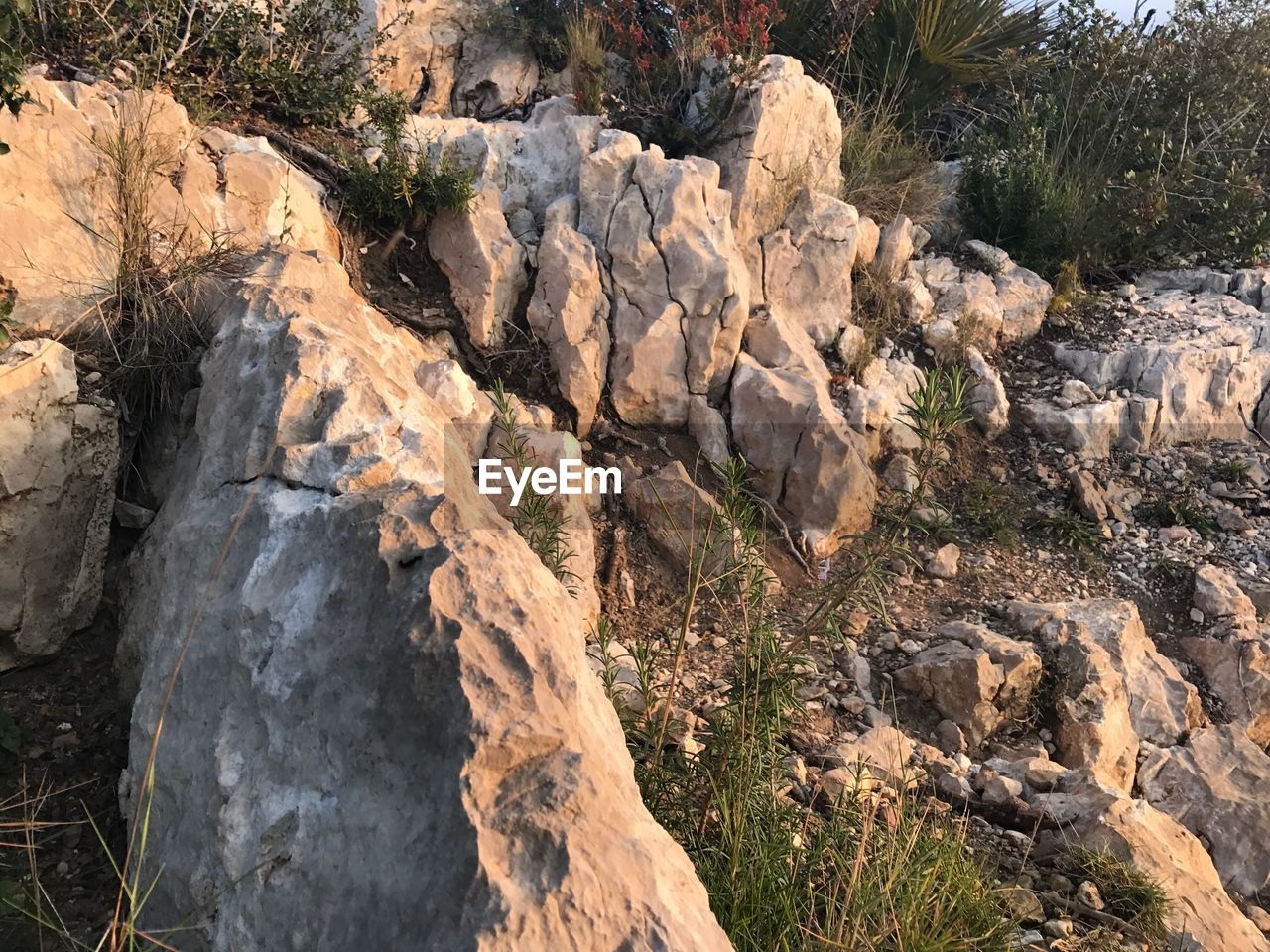 CLOSE-UP OF ROCK ON SUNLIGHT