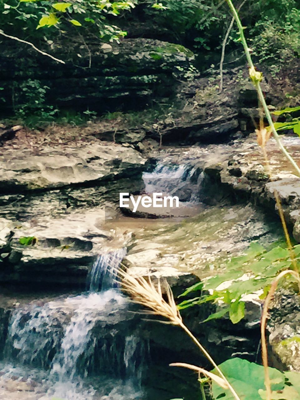 WATERFALL IN FOREST