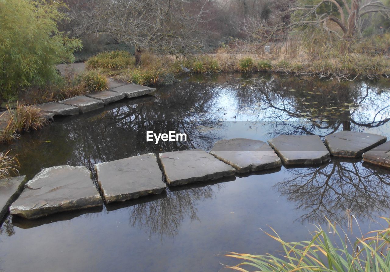 HIGH ANGLE VIEW OF PLANTS BY LAKE