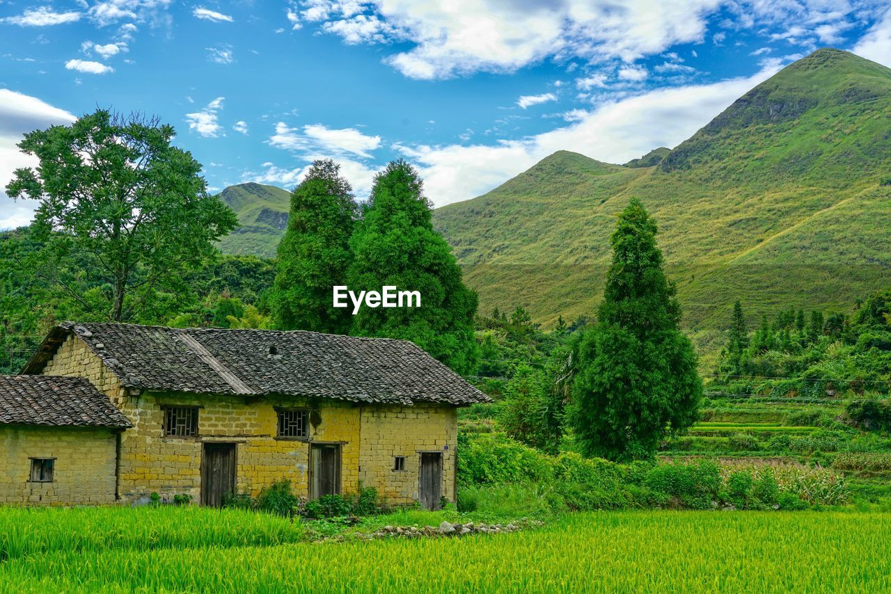 SCENIC VIEW OF TREES AND HOUSES AGAINST SKY