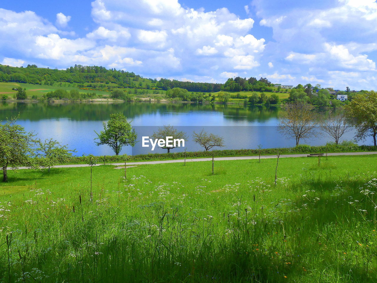 SCENIC VIEW OF LAKE